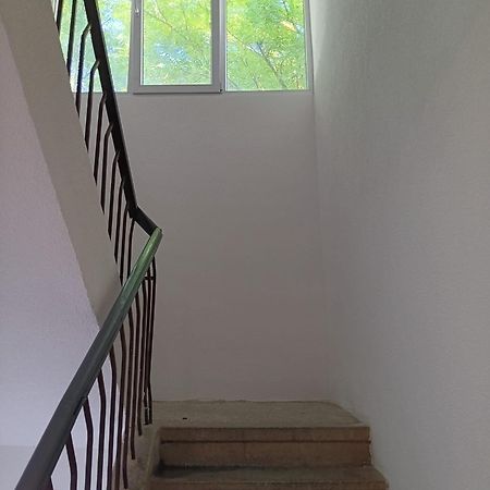 Хостел Apartman Sonja Дубровник Экстерьер фото